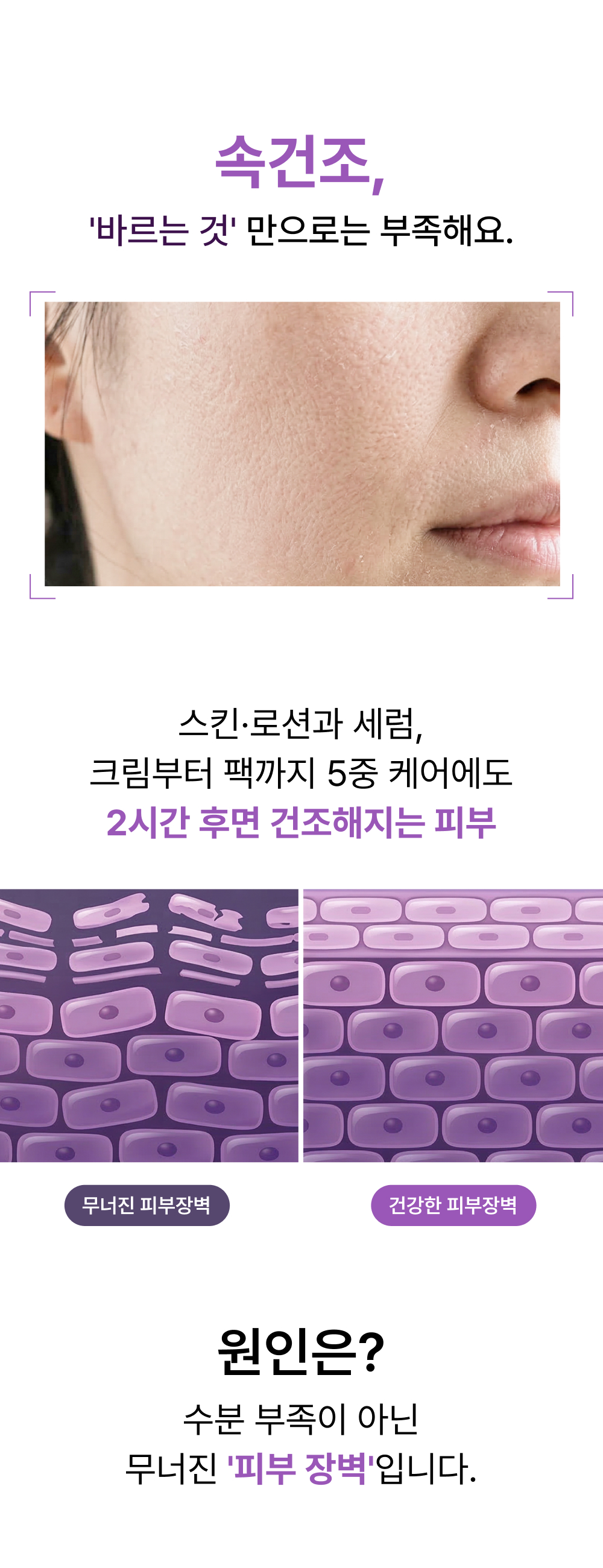 모이스처라이징 크림 화장품 상세페이지 2번 섹션